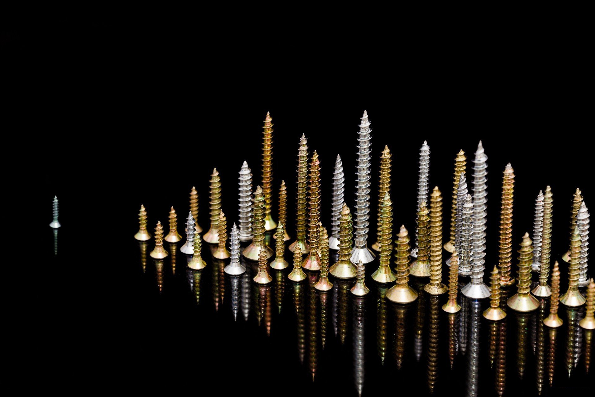 screw, Manhattan Wallpaper