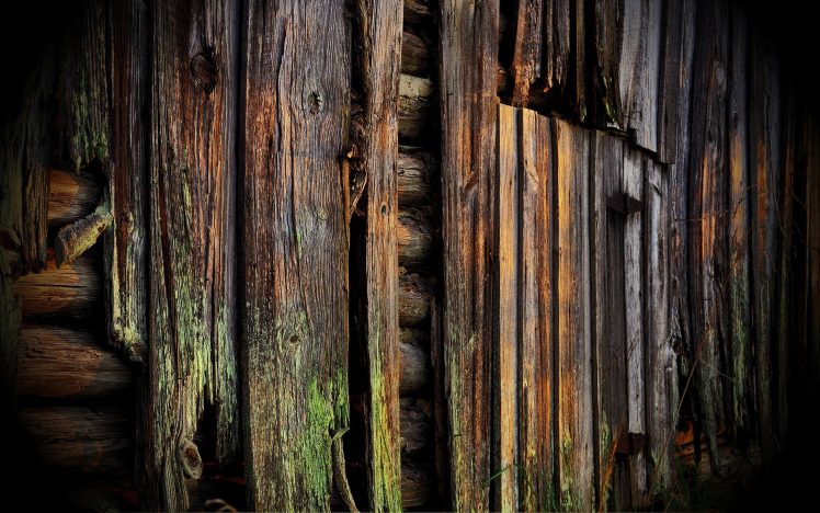 wood, Wooden surface, Planks, Moss HD Wallpaper Desktop Background