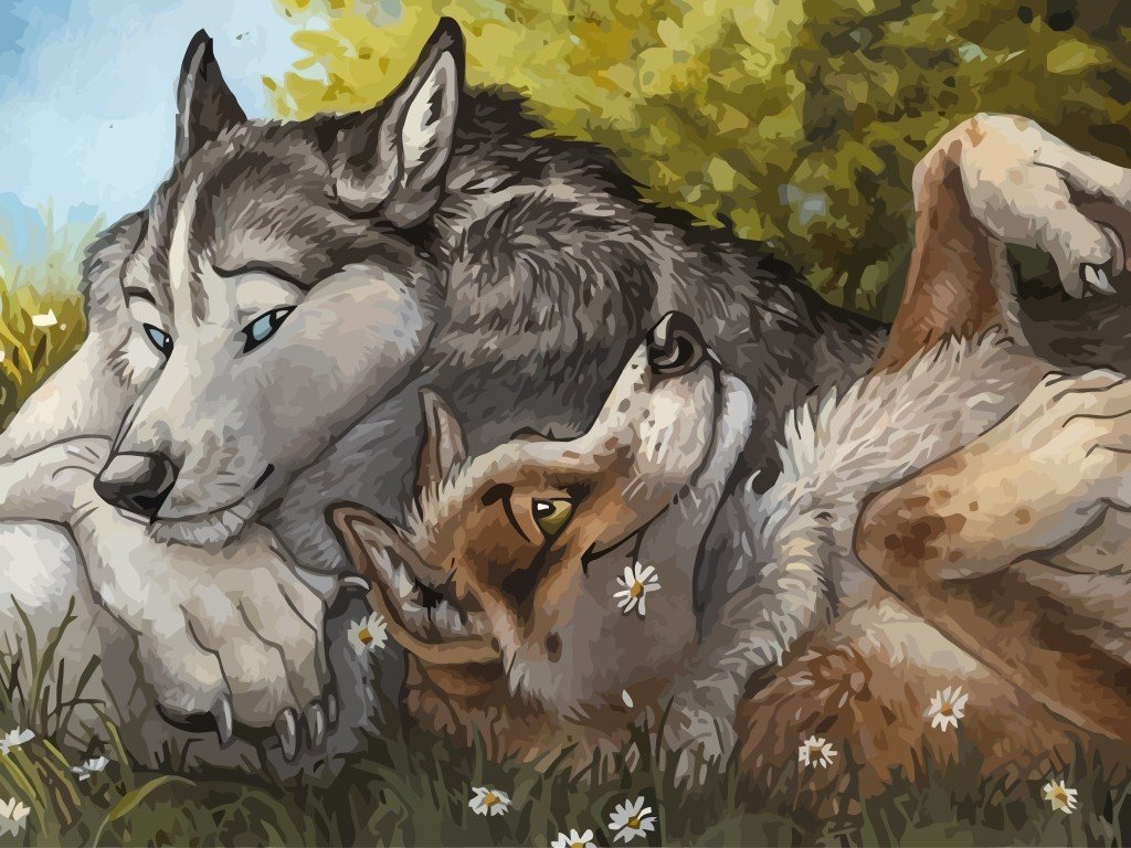 furry, Anthros, Blotch, Wolf Wallpaper