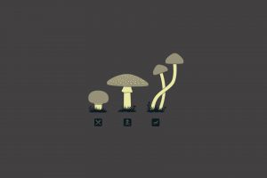 mushroom, Drugs, Minimalism