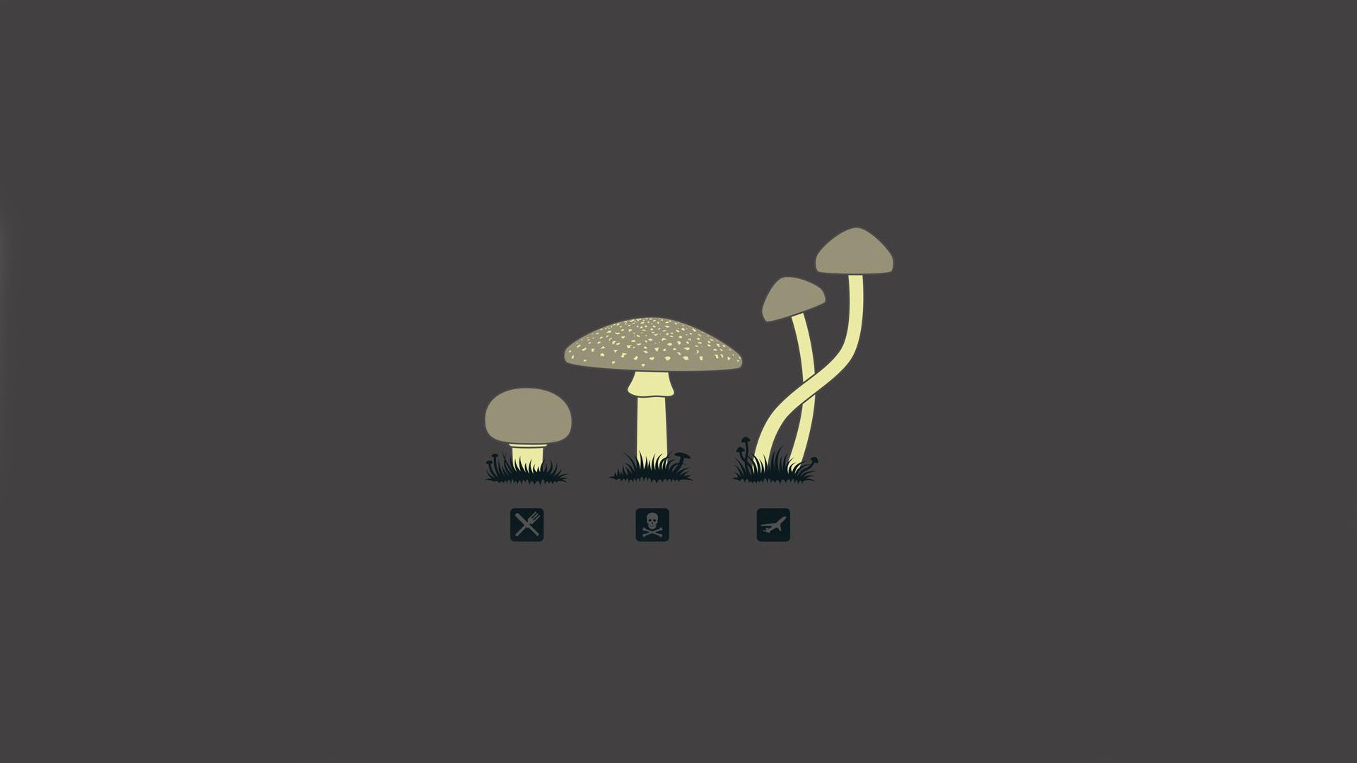 mushroom, Drugs, Minimalism Wallpaper