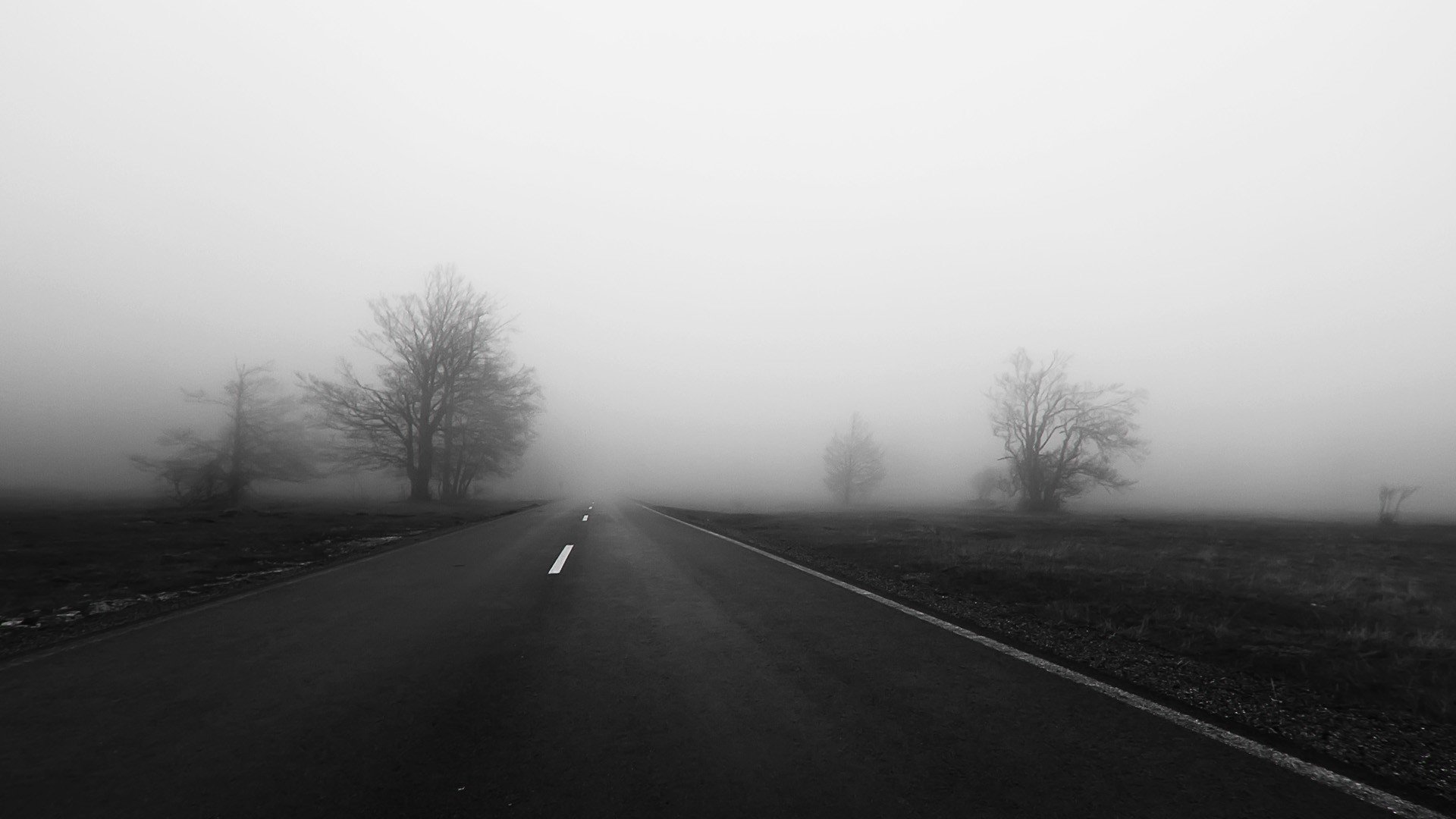 road, Mist, Trees Wallpaper