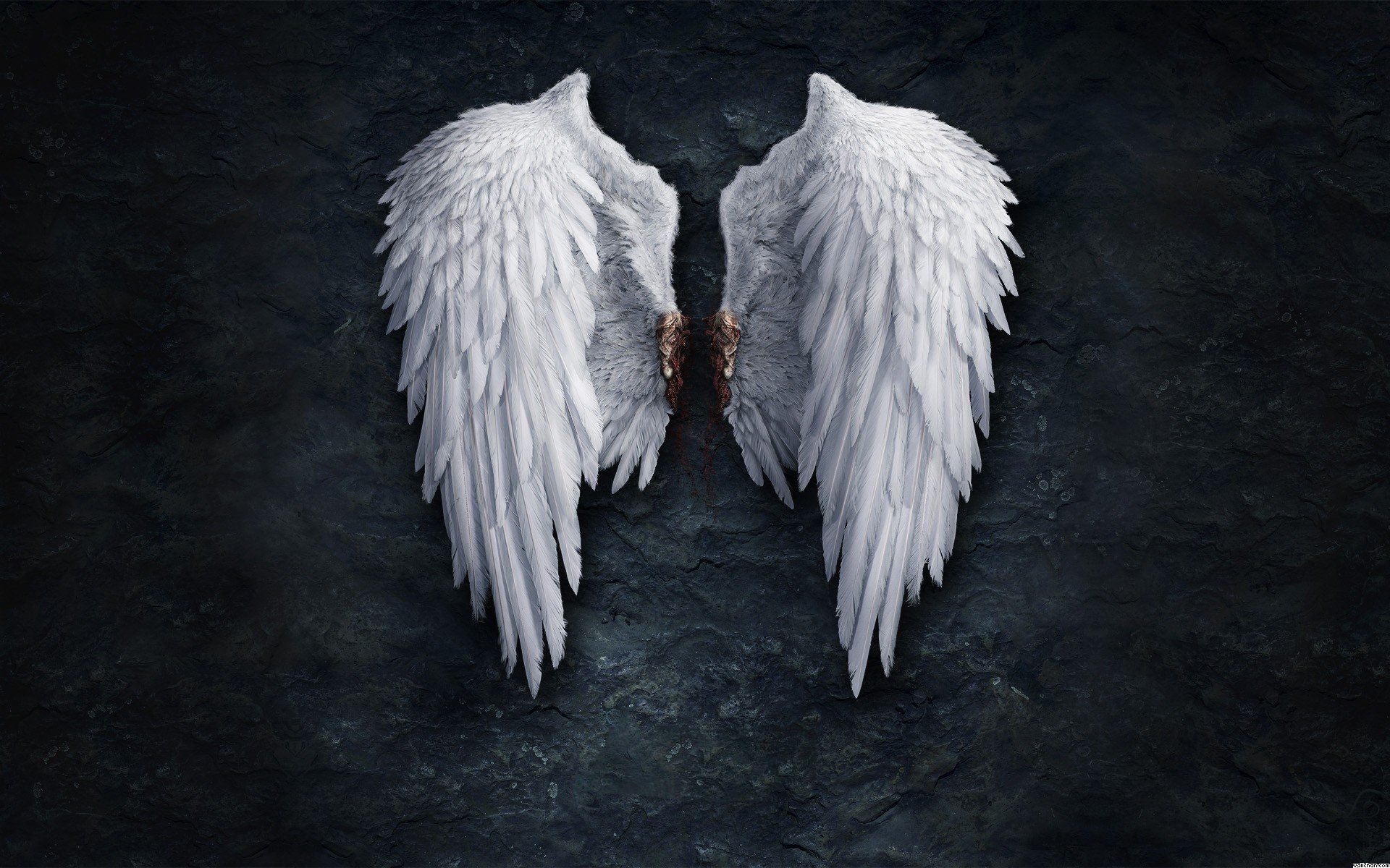 Aion Wallpaper