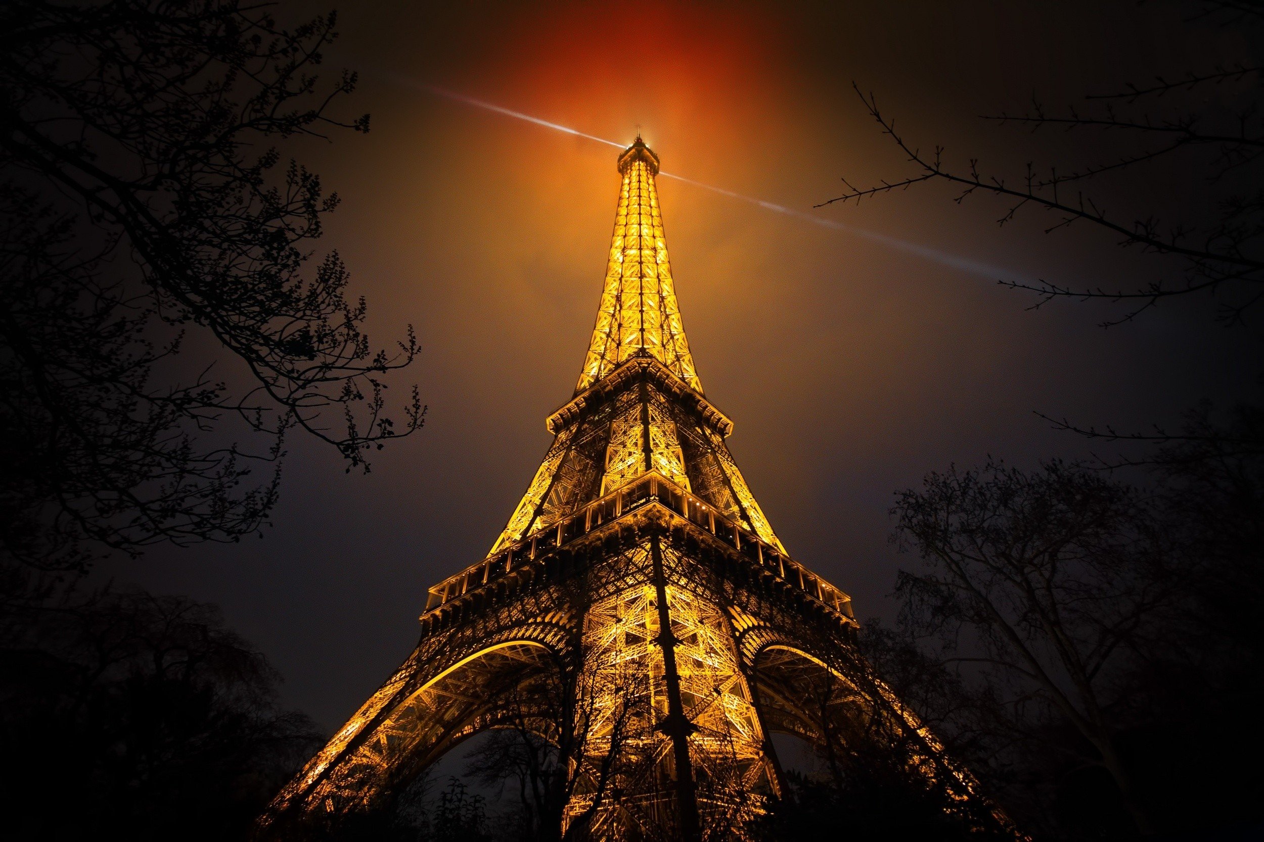 night, Eiffel Tower, Paris, France, Branch, Artificial lights, Red