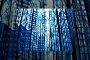 Amy Shackleton, Gravity paintings, Blue, Cityscape, Trees