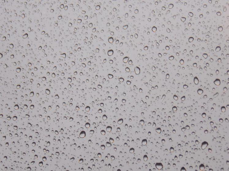 rain, Water drops HD Wallpaper Desktop Background