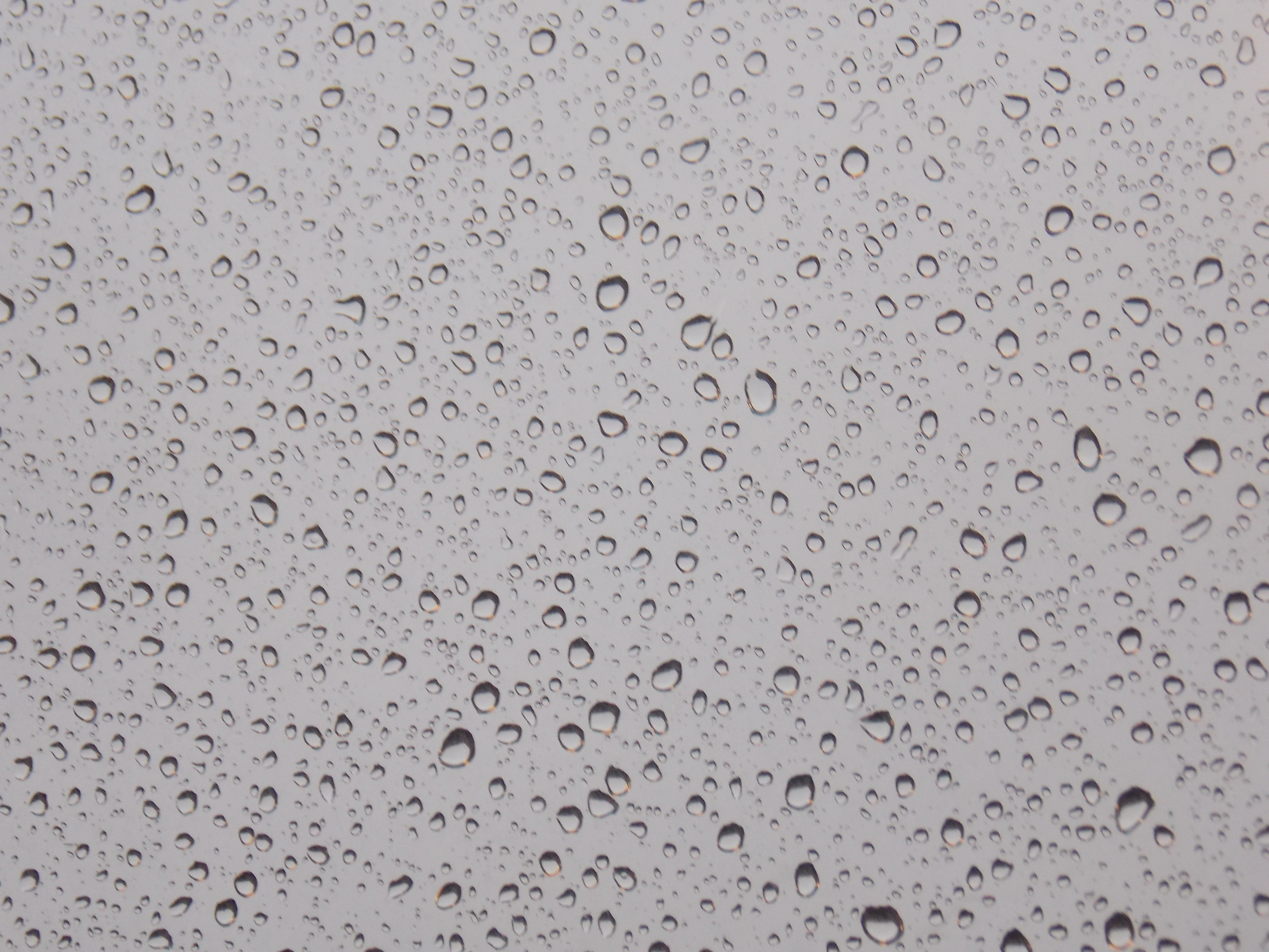 rain, Water drops Wallpaper