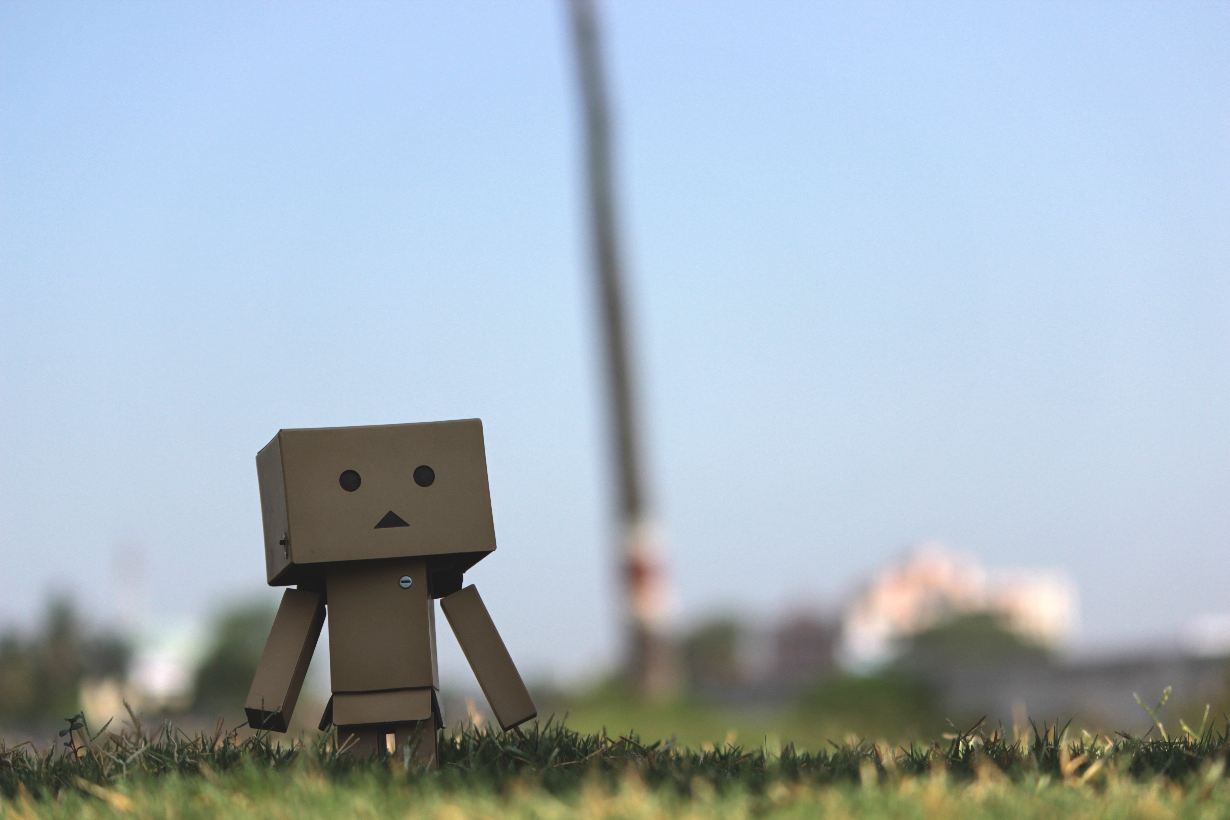 Yotsubato, Danbo Wallpaper