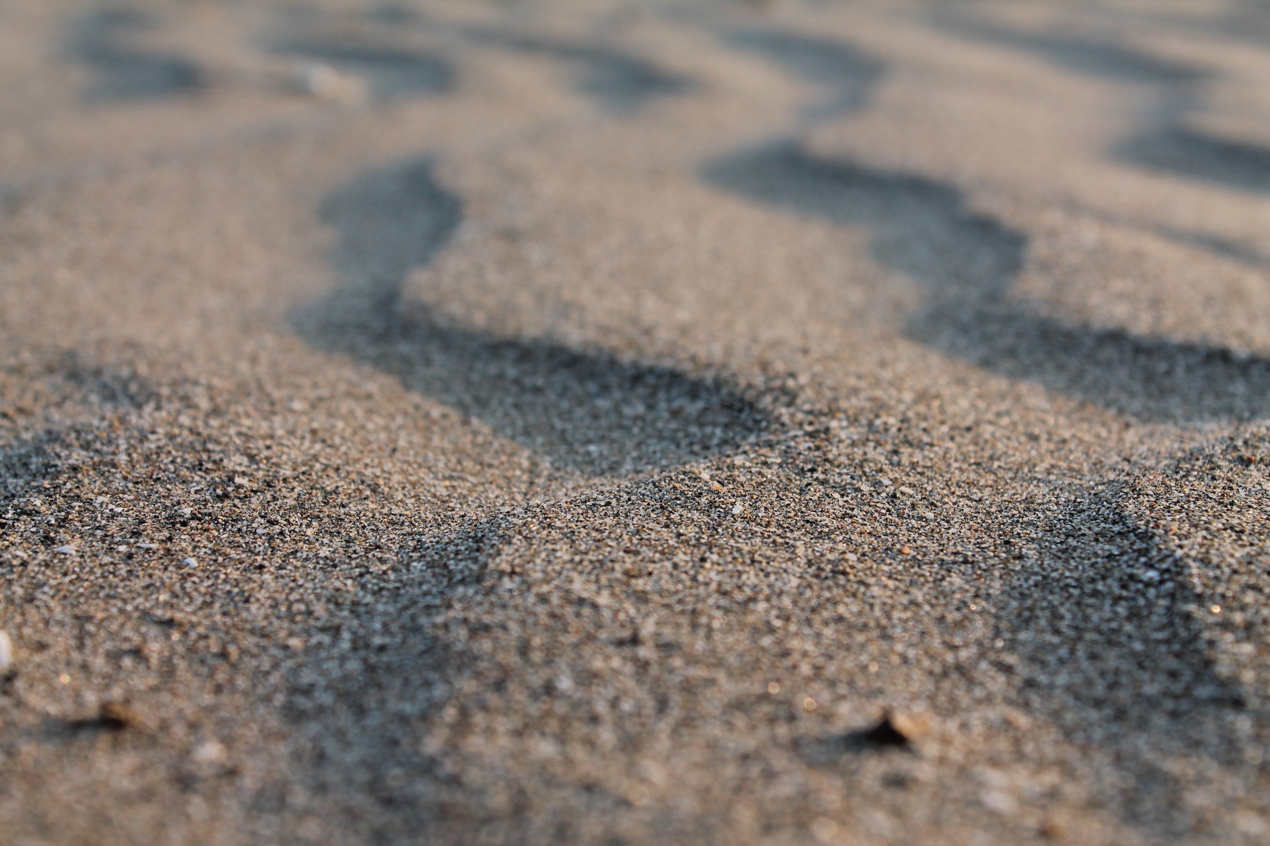 macro, Sand, Tilt shift, Blurred Wallpaper