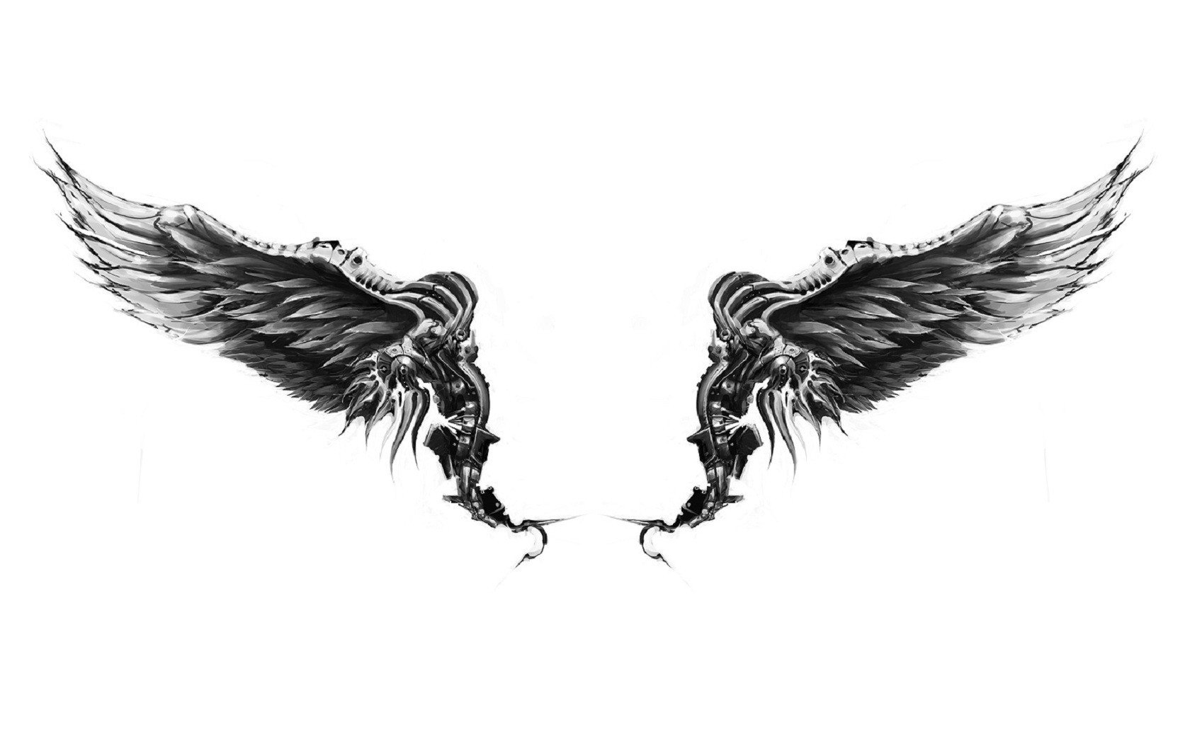 wings, White background Wallpaper