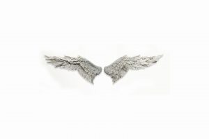 wings, White background