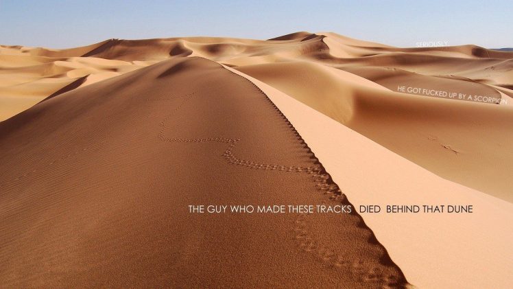 desert, Fuckscapes, Dune, Footprints HD Wallpaper Desktop Background