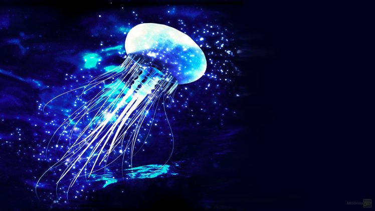 photo manipulation, Jellyfish, Blue HD Wallpaper Desktop Background