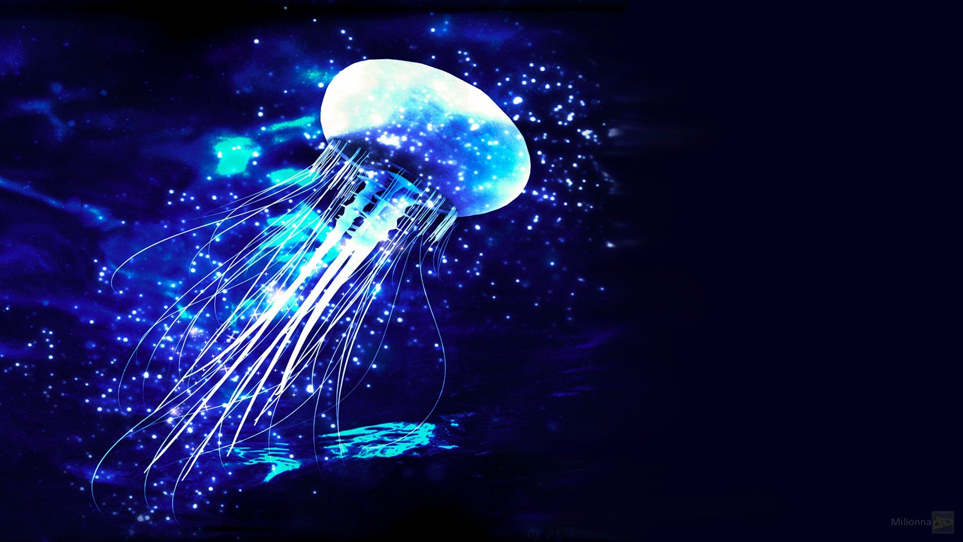 photo manipulation, Jellyfish, Blue Wallpaper