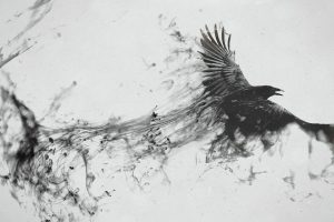crow, Ink