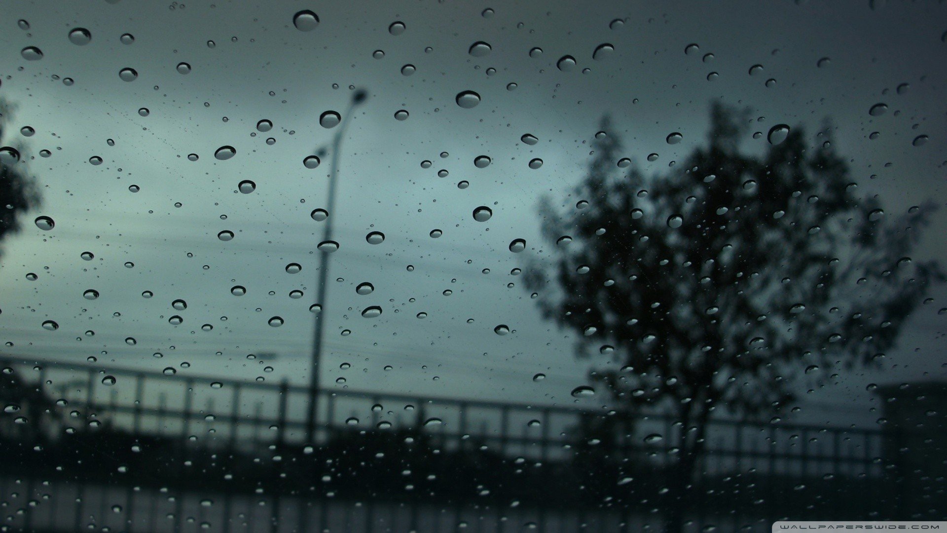 rain Wallpaper