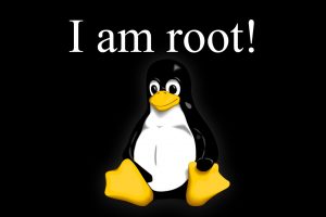 Linux, GNU, Root (character)
