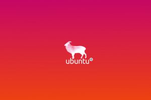 Linux, Ubuntu