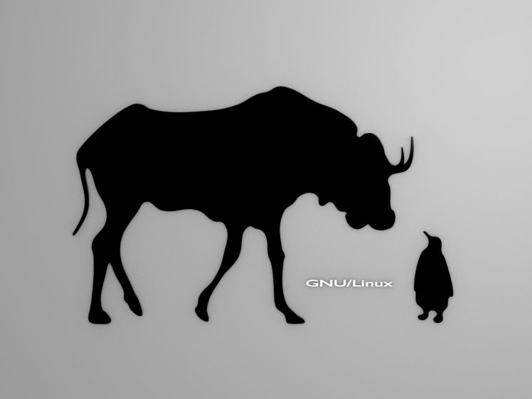 Linux, GNU, Tux HD Wallpaper Desktop Background