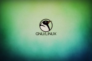 GNU, Linux, Tux