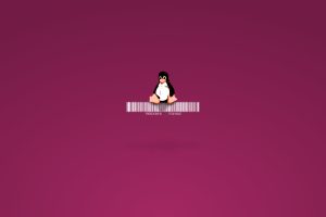 Linux, Tux