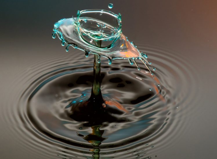 water, Water drops, Macro HD Wallpaper Desktop Background