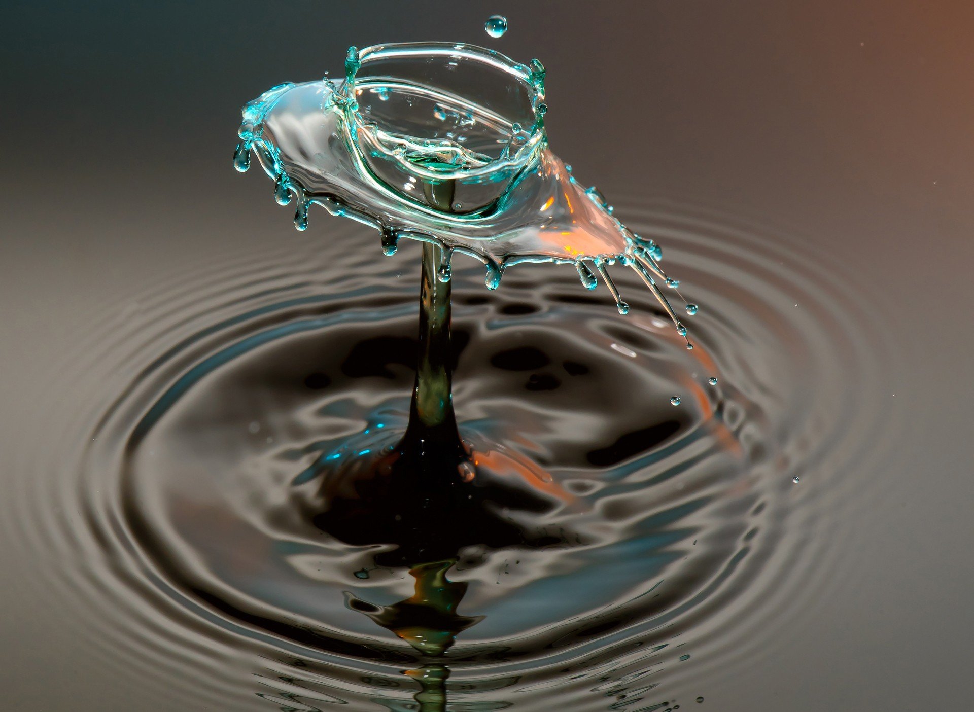 water, Water drops, Macro Wallpaper