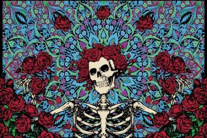 skeleton, Skull, Dia de muertos, Rose