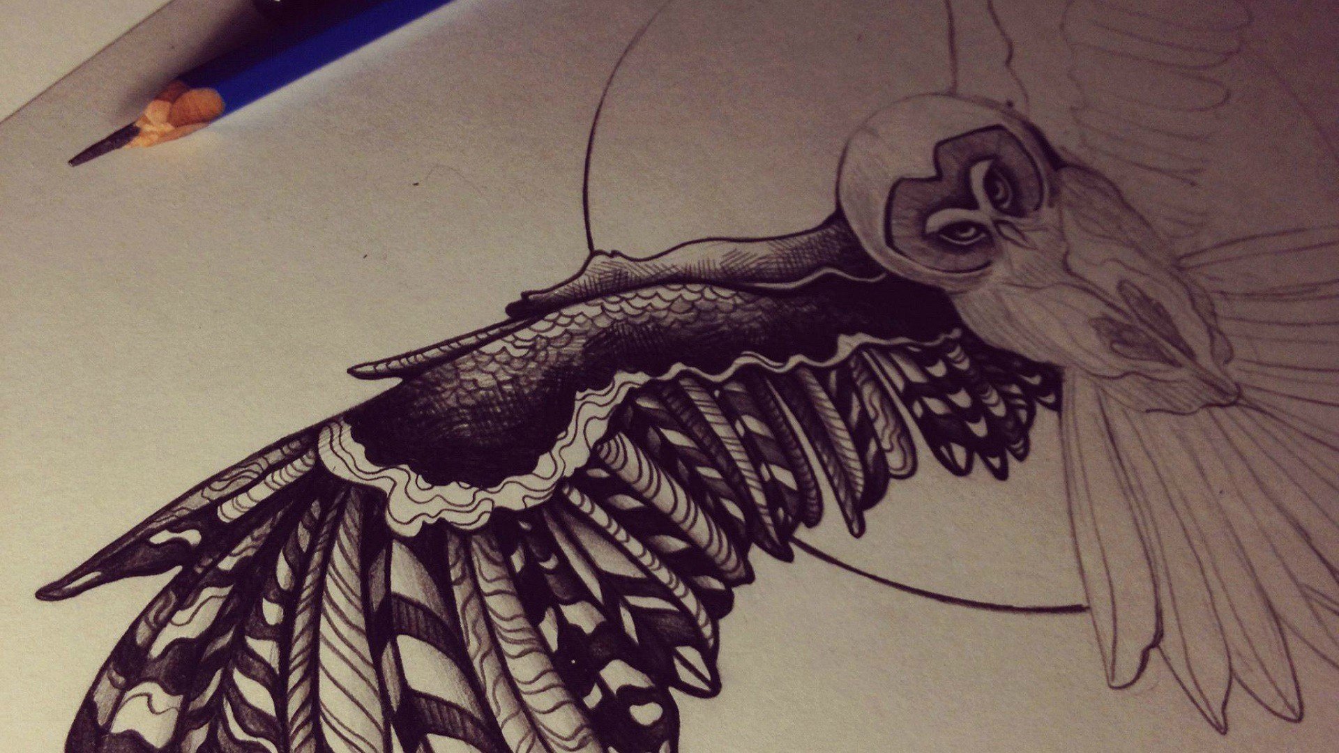 owl, Pencils Wallpaper