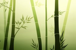 bamboo, Vector art, Leaves