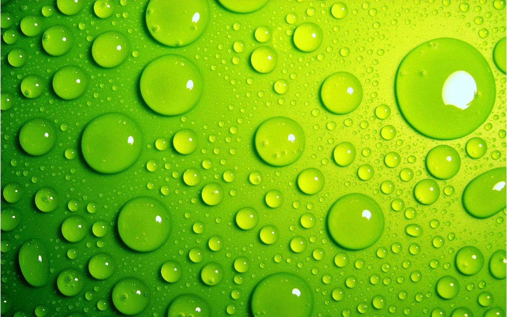 green, Water drops Wallpaper