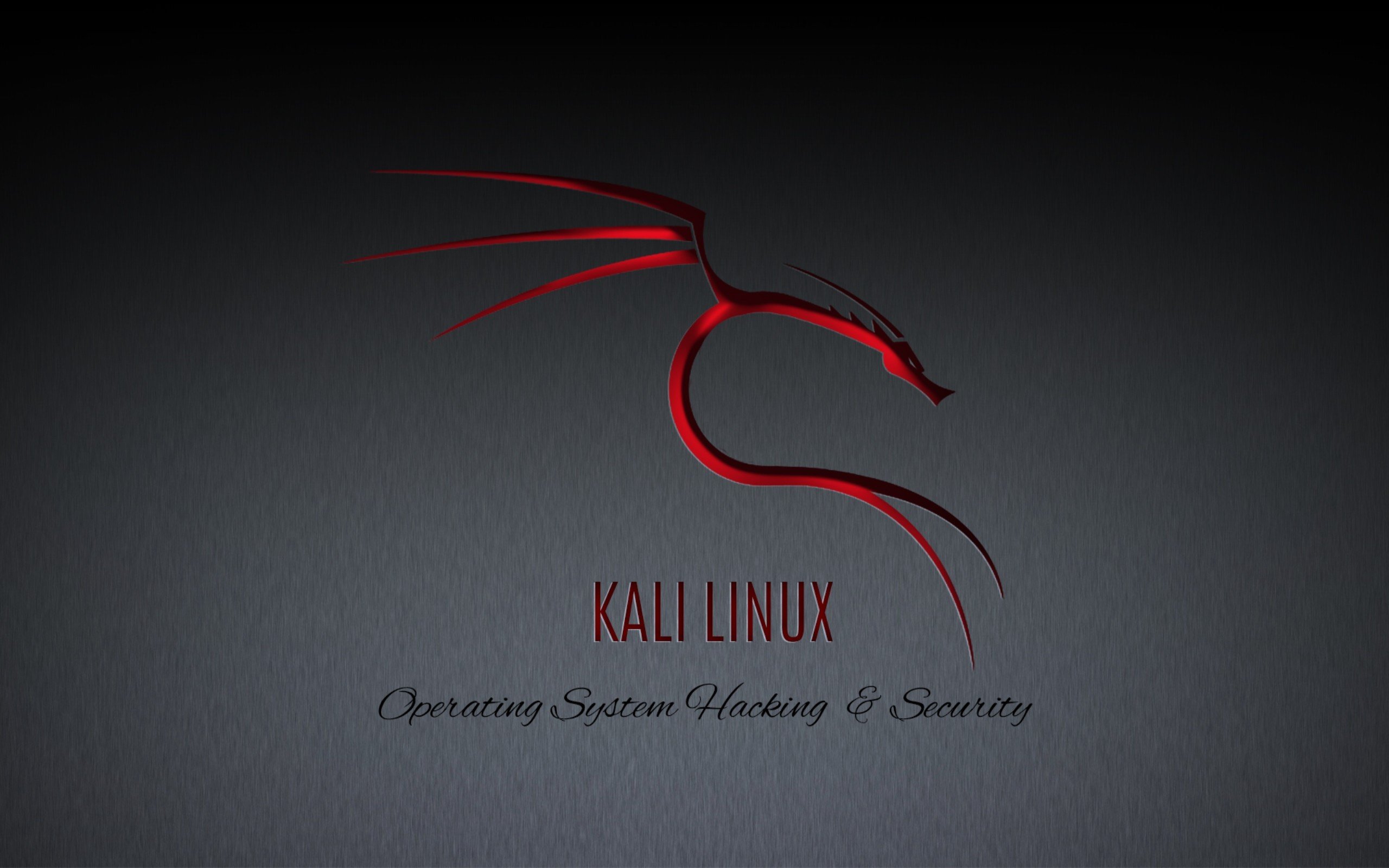 Linux, GNU, Kali Linux, Kali Linux NetHunter Wallpaper
