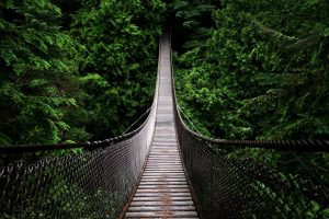 bridge, Fence, Green, Photography, Trees