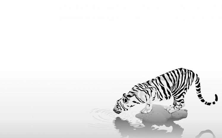 tiger, Minimalism HD Wallpaper Desktop Background