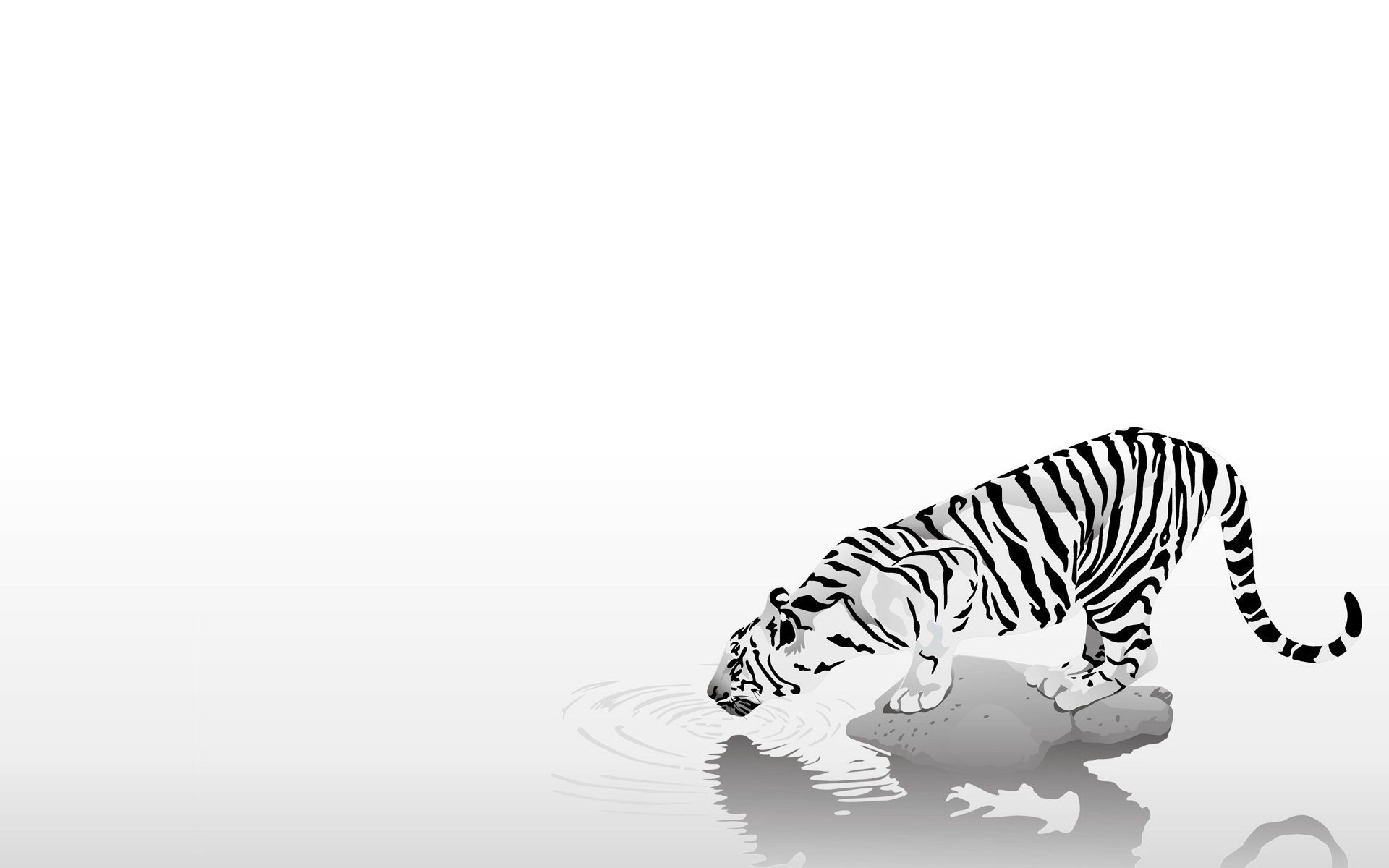 tiger, Minimalism Wallpaper