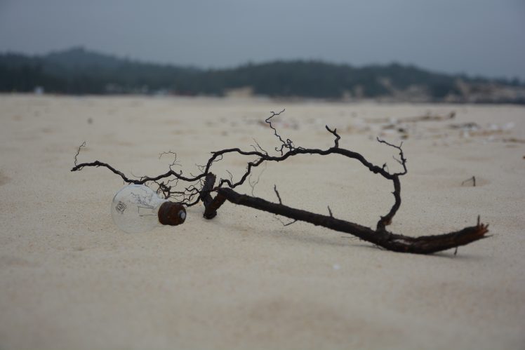 branch, Lightbulb, Sand HD Wallpaper Desktop Background