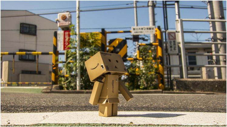 Danbo, Amazon, Cherry blossom, Spring, Japan, Japanese, Tokyo, Osaka, Mount Fuji HD Wallpaper Desktop Background