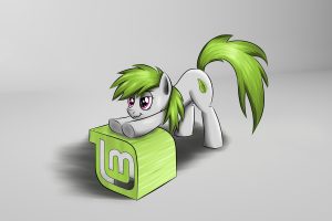 Linux, GNU, Linux Mint, My Little Pony