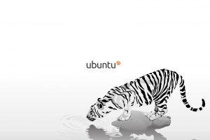 Linux, GNU, Ubuntu