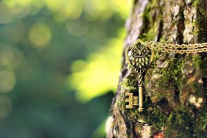 green, Owl, Keys, Chains, Depth of field, Photography