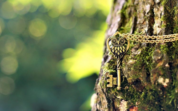 green, Owl, Keys, Chains, Depth of field, Photography HD Wallpaper Desktop Background