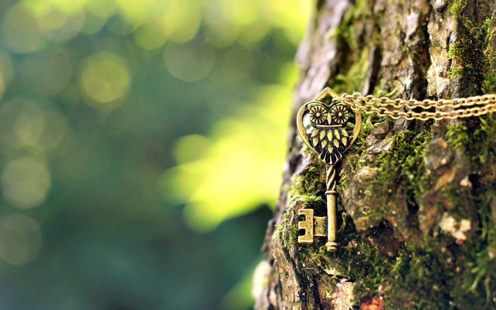 green, Owl, Keys, Chains, Depth of field, Photography Wallpaper