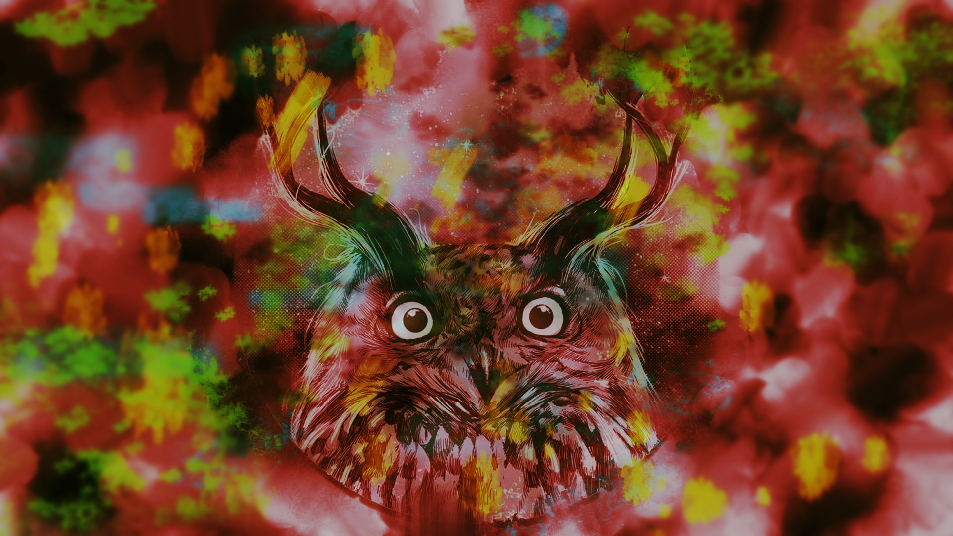 colorful, Owl Wallpaper