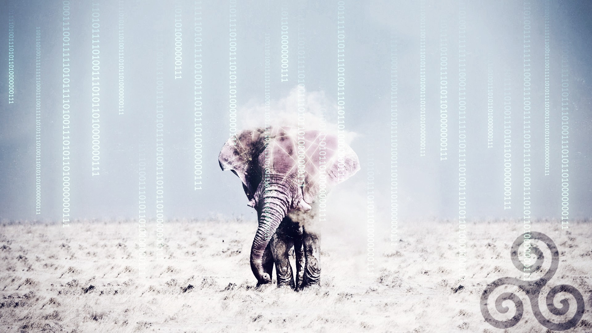 elephants, Triskel, Desert, The Matrix, Wireframe Wallpaper