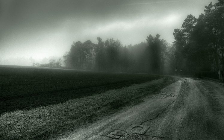 road, Mist, Trees, Spooky HD Wallpaper Desktop Background