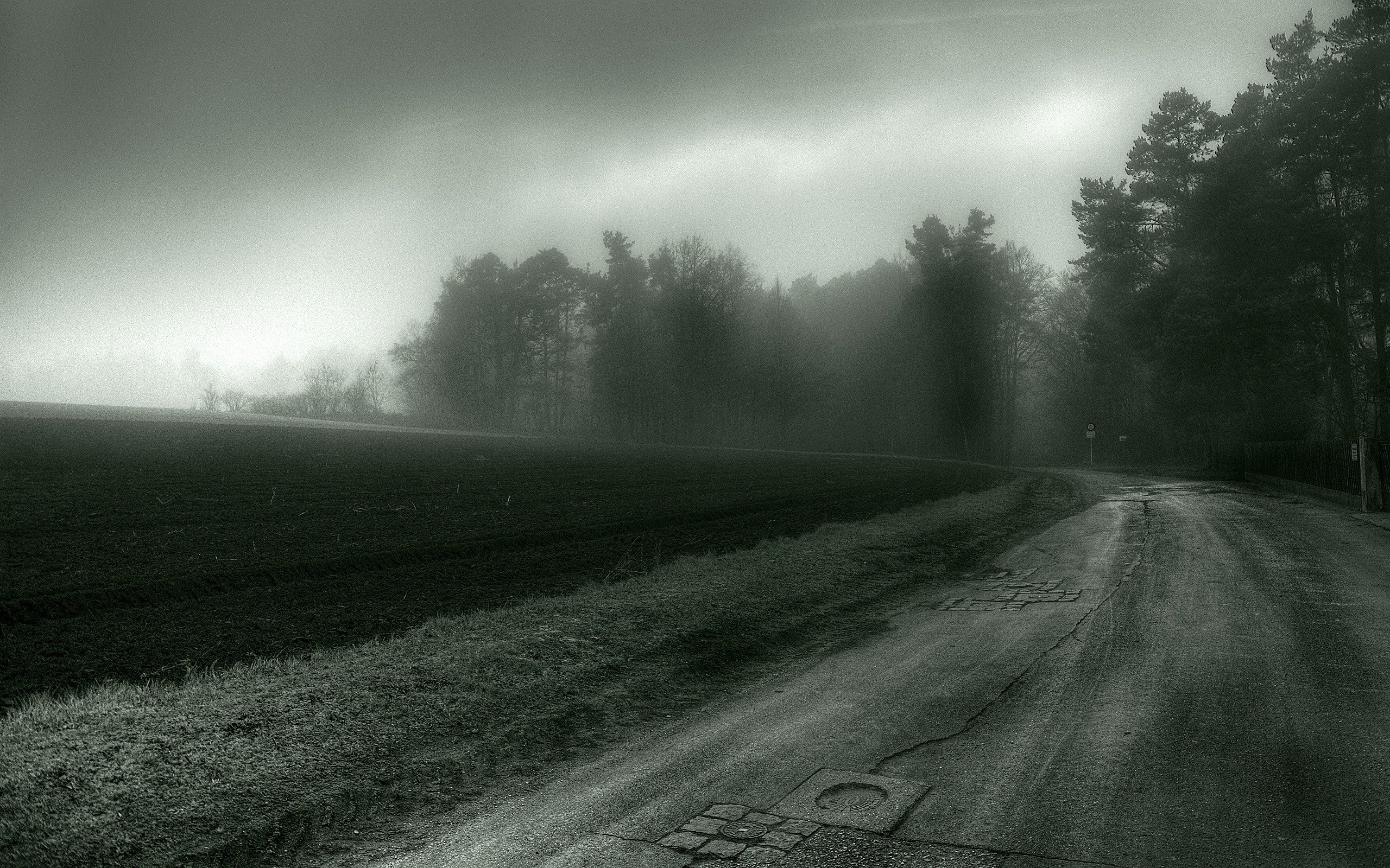 road, Mist, Trees, Spooky Wallpaper