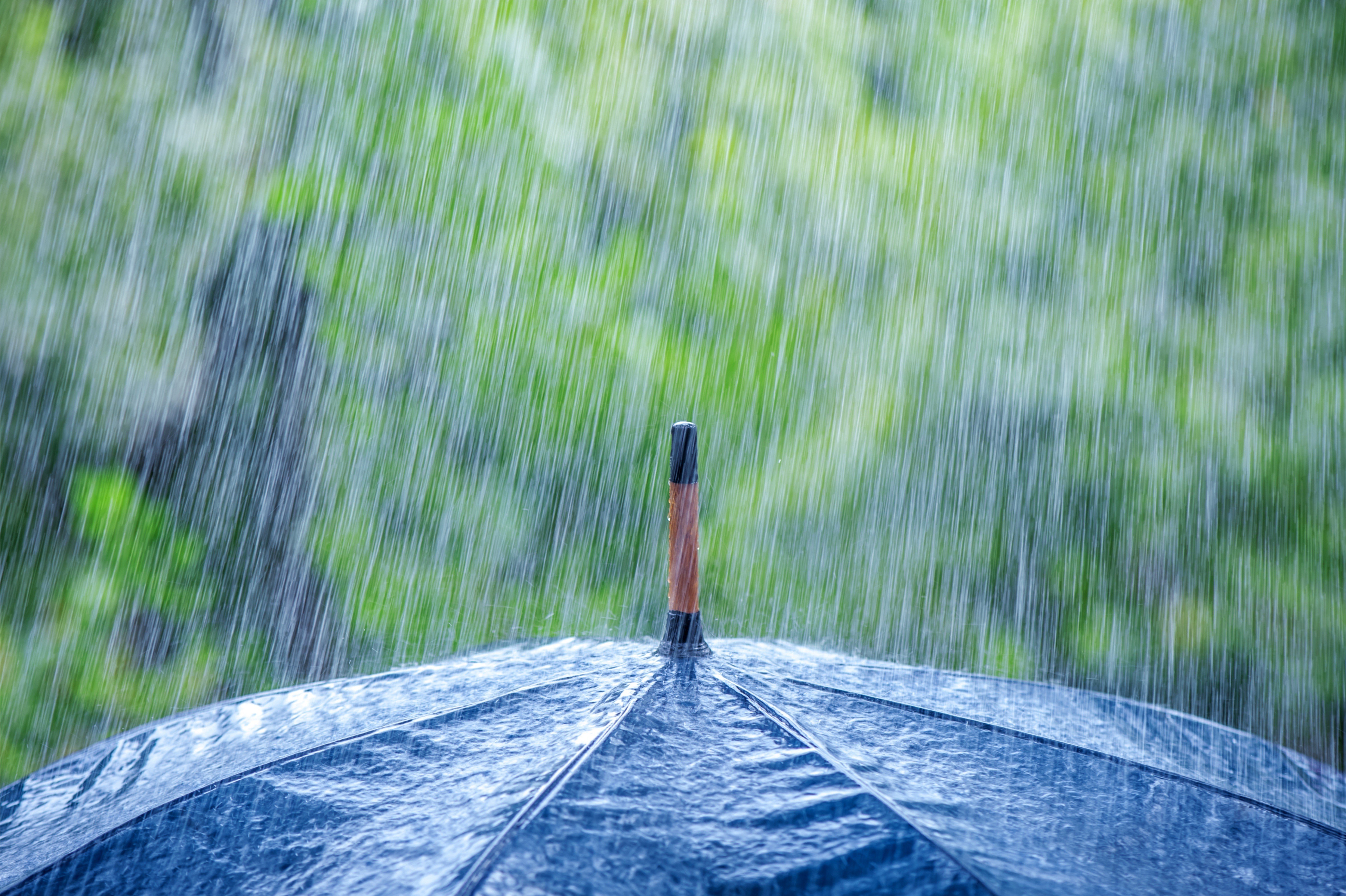 rain, Umbrella Wallpaper