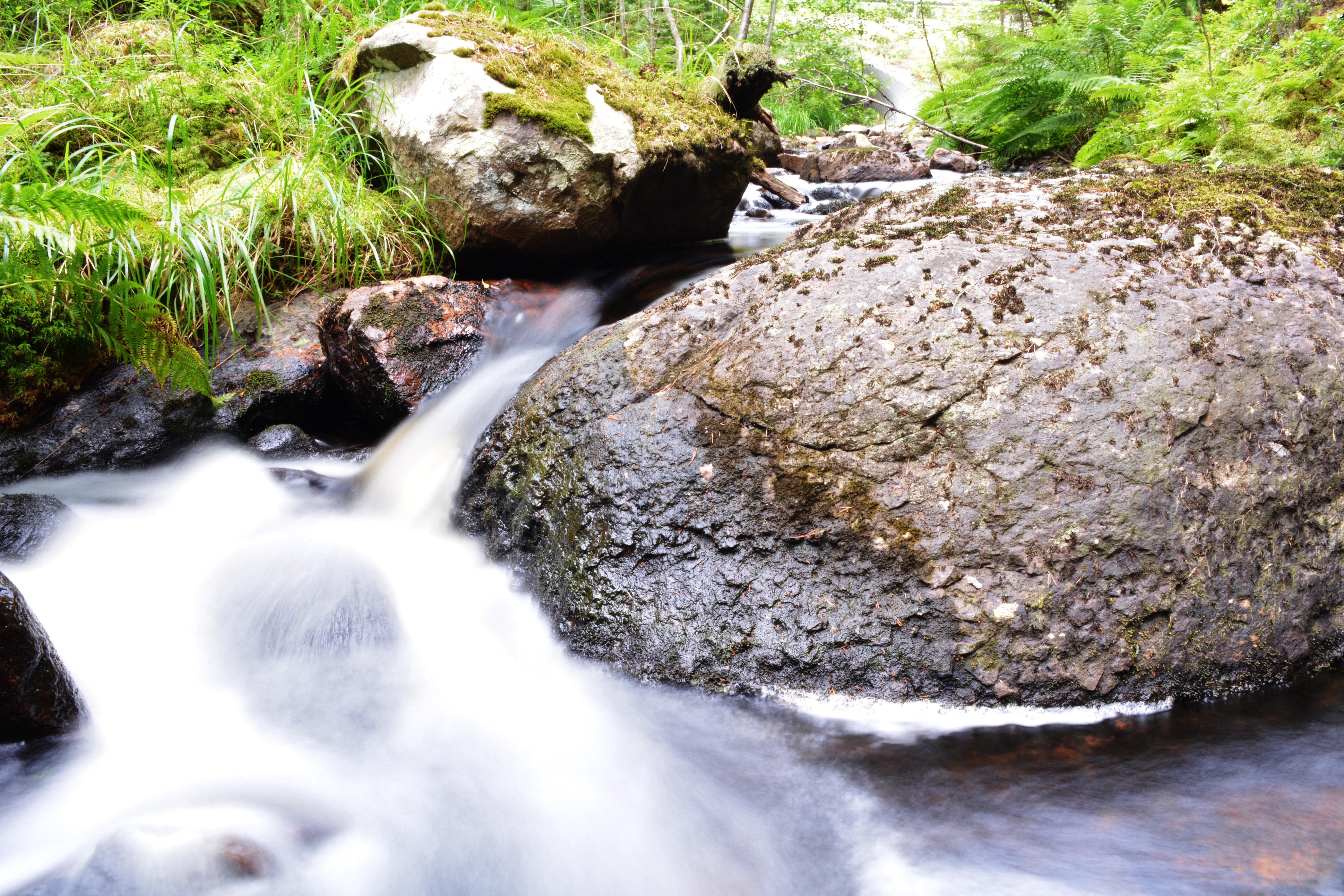 water, Summer Wallpaper