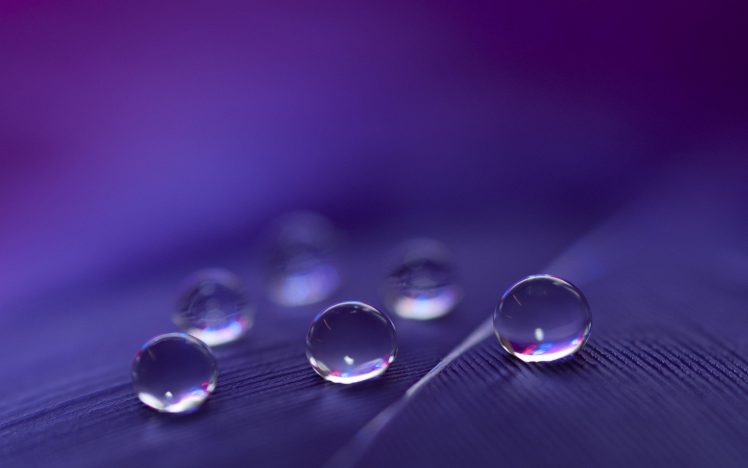 macro, Depth of field, Purple, Water drops, Reflection HD Wallpaper Desktop Background