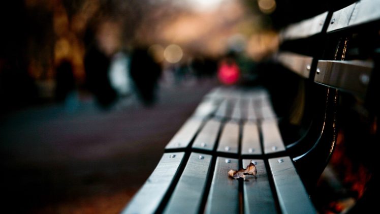 bench, Filter HD Wallpaper Desktop Background